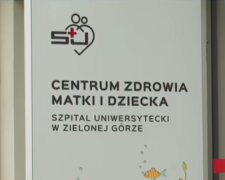 3,5-letnia dziewczynka trafiła do Centrum Zdrowia Matki i Dziecka/YouTube @tvn24