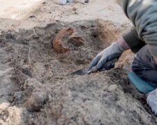 Warszawa, odnaleziono szczątki ludzkie na terenie dawnego więzienia