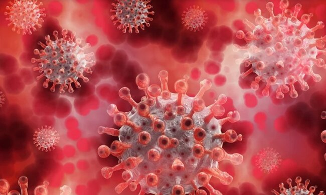 Sanepid w jednym z polskich miast z poważną wpadką na koncie. Chodzi o pacjentkę z koronawirusem