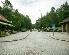 Gdańsk: jedna z firm zaśmieca cmentarz Srebrzysko. Ludzie są oburzeni rozrzucanymi ulotkami