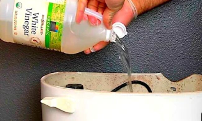 Ocet do muszli klozetowej/YouTube @Jasna Strona