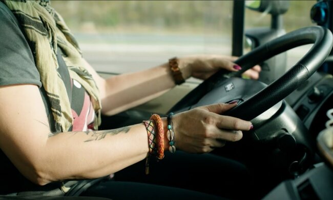 Kierowca/Youtube @Truckers Life