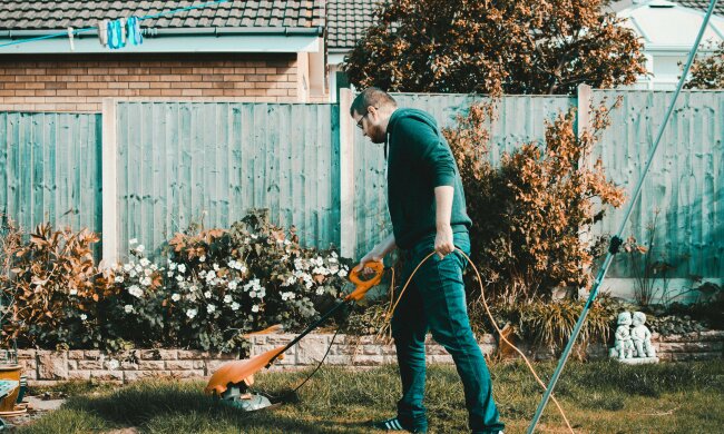 Ogród, źródło: Pexels