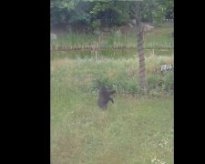 screen Facebook @WarszawskieZOO