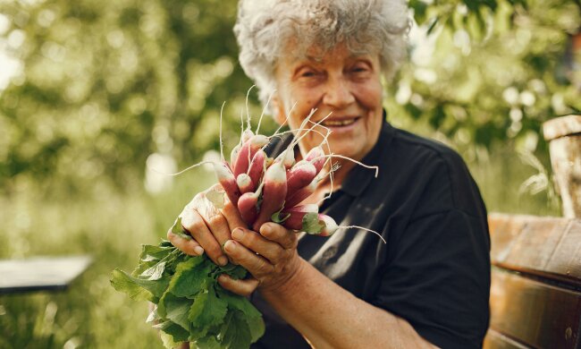 Z życia wzięte. "Mój syn chce sprzedać działkę, żeby ratować swoją rodzinę": Nie obchodzi go, że to moje jedyne schronienie od nich wszystkich
