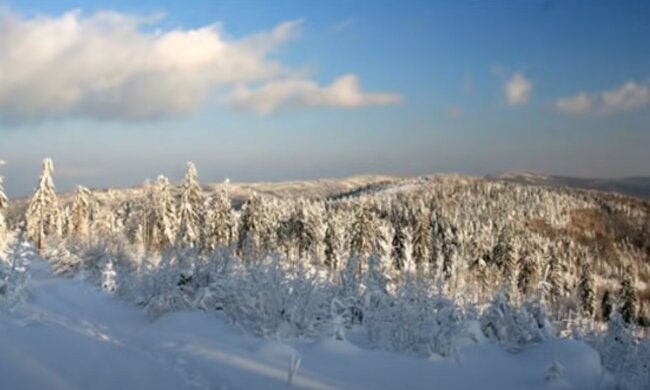 źródło: YouTube/News