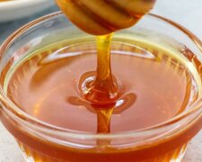 Miód od pszczół, czy prosto z fabryki: warto wiedzieć, na co zwrócić uwagę przy zakupie