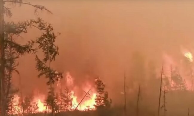 Pożary/YouTube @ABC News