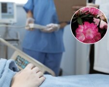 Dziecko zatruło się rododendronem/Pexels