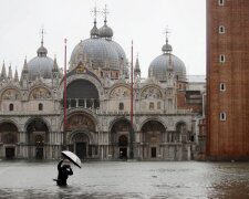 Wenecja całkowicie pod wodą! Mieszkańcy doświadczają największej powodzi od 50 lat