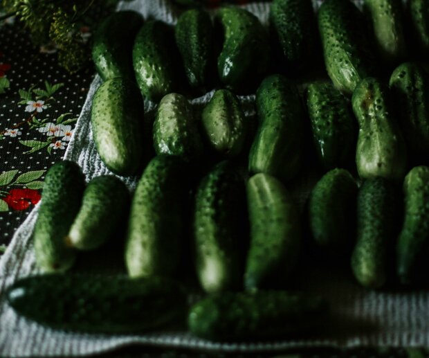 ogórki @pexels