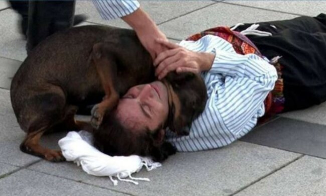 Bezpański pies interweniował podczas spektaklu, aby „uratować” aktora i poruszył wszystkich widzów