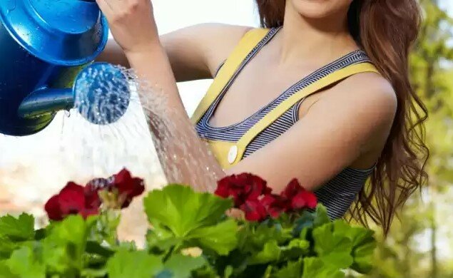 Są roślinami obecnymi w domach wielu Polaków. Nie każdy natomiast wie, jakie mogą być trujące