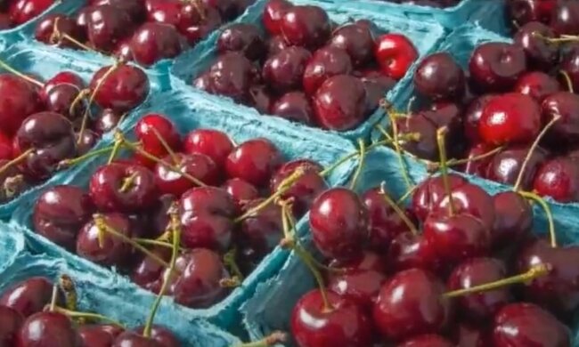 źródło: YouTube/Aktualności 360