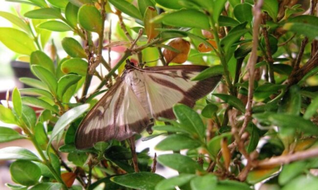 Warszawiacy nie kryją zdenerwowania! / irishnews.com