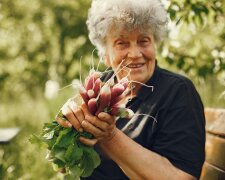 Z życia wzięte. "Mój syn chce sprzedać działkę, żeby ratować swoją rodzinę": Nie obchodzi go, że to moje jedyne schronienie od nich wszystkich
