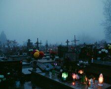 Te kwiaty na Wszystkich Świętych podbijają cmentarze. Wytrzymają mróz i zachwycą kolorem