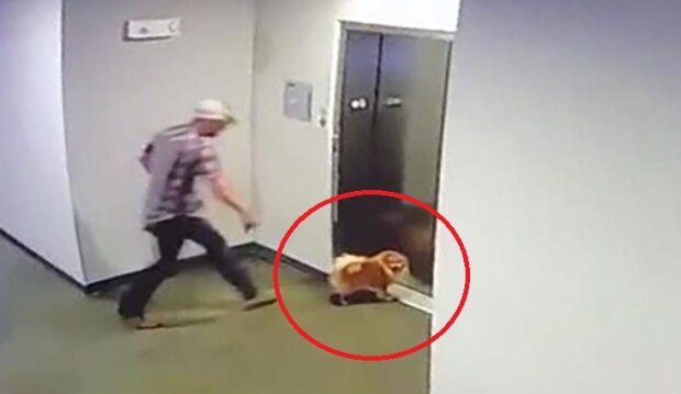 Mężczyzna bohatersko ratuje psa. Ludzie z całego świata wstrzymują oddech oglądając to nagranie [WIDEO]