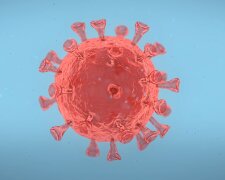 Koronawirus. Źródło: Youtube Gavi, the Vaccine Alliance