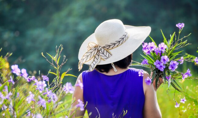 Teściowa, źródło: Pixabay