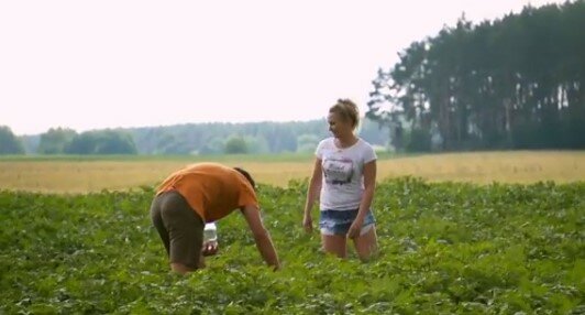 "Rolnik szuka żony". Czy odejście Mateusza miało związek ze stonkami