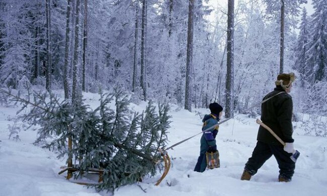 Meteorolodzy już wiedzą, czy w święta poprószy. Pogoda długoterminowa na grudzień