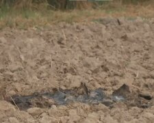 ataka dronów @TVN24