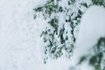 Grudzień może całkowicie zaskoczyć Polaków. Najnowsza prognoza pokazuje potężną anomalię