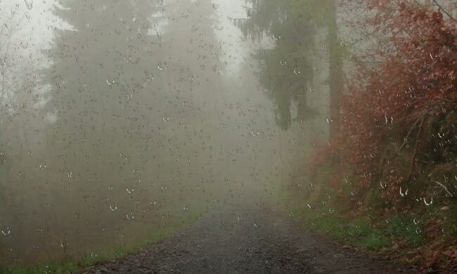 Czekają nas duże opady deszczu! / YouTube