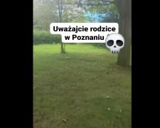 „Uważajcie, rodzice z małymi dziećmi”. Alarmujące nagranie z polskiego osiedla