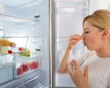 Jak pozbyć się nieprzyjemnego zapachu z lodówki raz na zawsze? Wystarczy coś, co każdy ma w domu