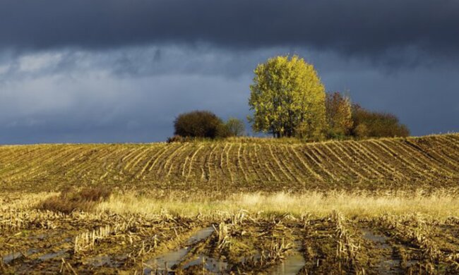 Załamanie pogody, deszcz, burza. Screen: Wiadomosci.wp.pl
