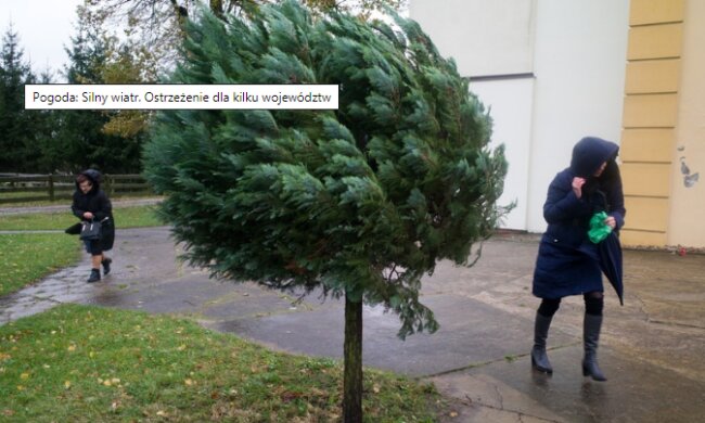 Silne podmuchy wiatru i apele o ostrożność. Zmiana prognozy pogody dla Polski