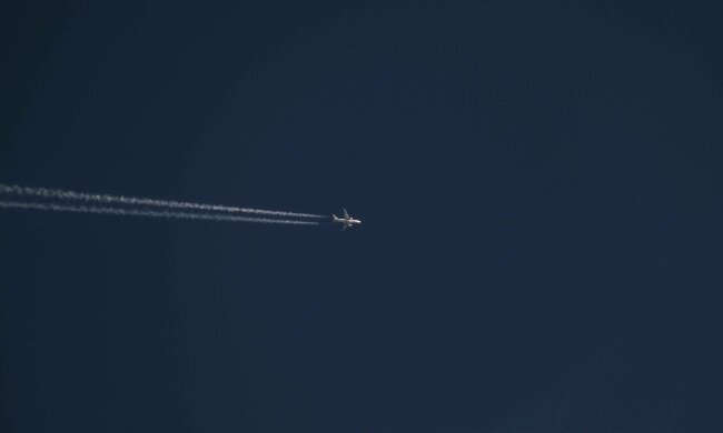 Samolot spadł na teren leśny. Wiadomo, co stało się z pilotem