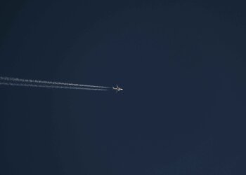 Samolot spadł na teren leśny. Wiadomo, co stało się z pilotem