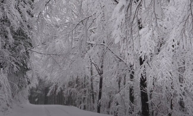 Sypnęło śniegiem! / YouTube