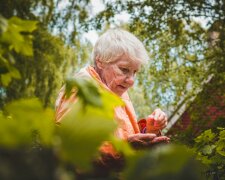 Babcia, źródło: Pexels