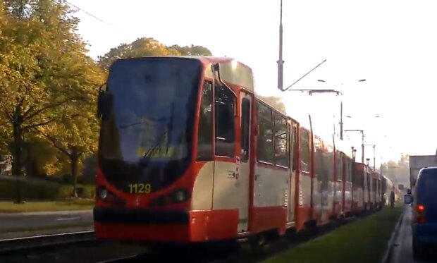 Gdańsk: miasto zajmie się problemem zrywanych trakcji w mieście. Sytuacja denerwuje kierowców i pasażerów już kilka lat
