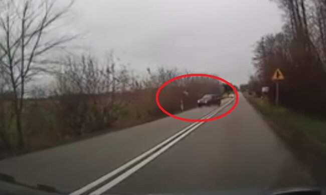 Jeleń znalazł się na drodze, samochód dachował. Co stało się ze zwierzęciem i pasażerami [WIDEO]