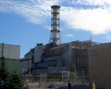 Wielkie odkrycie w Czarnobylu. Kamery zamontowane w lesie pokazały coś niezwykłego