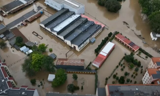 Szabrownicy, źródło: YouTube/tvn24