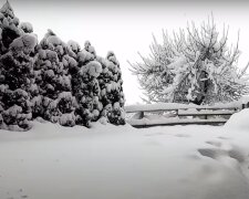 Śnieg/YouTube @Siema Banda