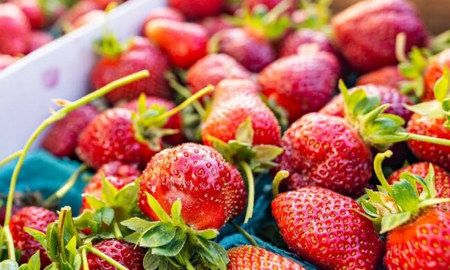 Truskawki/YouTube @TRUE FOOD TV