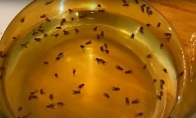 Muchy/YT @Remedies Insider