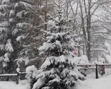 Śnieg. Źródło: Youtube Iwona Z