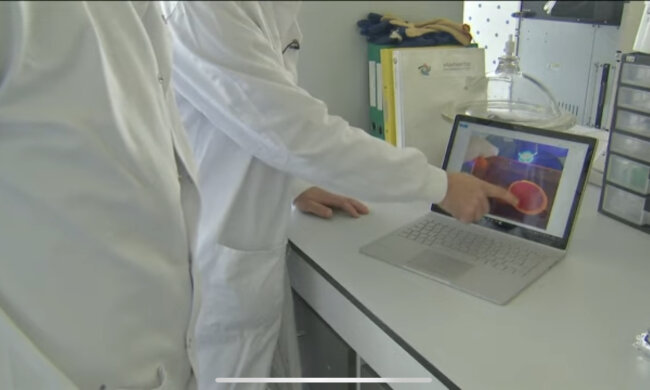 Bakterie, laboratorium/YouTube