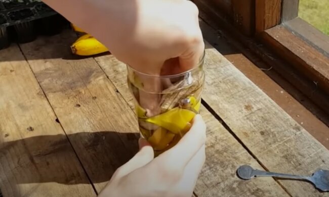 Nawóz z banana