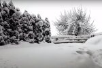 Śnieg/YouTube @Siema Banda