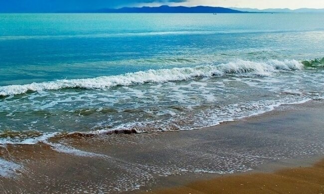 Niesamowita istota wyłowiona z morza. Choć wygląda kosmicznie, ewolucyjnie przypomina człowieka. Czy jest groźny