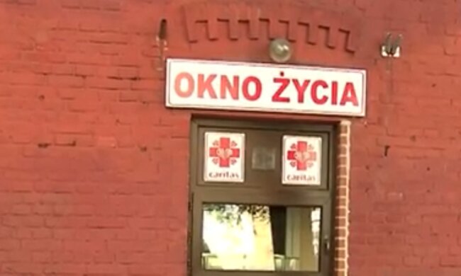 Okno życia/YouTube @TVP Info